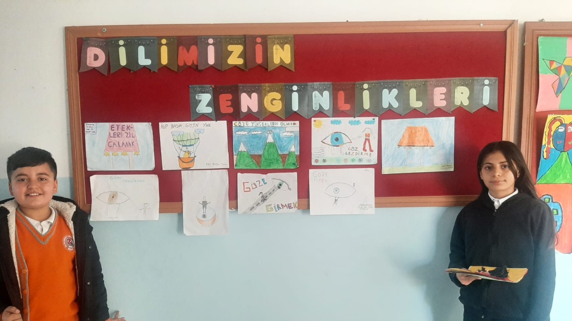 Dilimizin Zenginlikleri Projesi